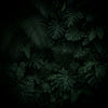 <h2>JOIN OUR GARDENER CLUB</h2>
