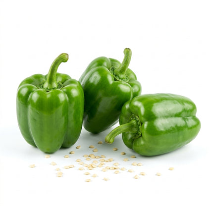 50 Green Bell Pepper Seeds for Planting - Crisp & Sweet Vegetable Seeds for Home Garden - Grow Highly Productive Sweet Peppers