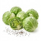 Iceberg Lettuce Seeds - 2,000 Seeds