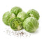Lettuce Seeds