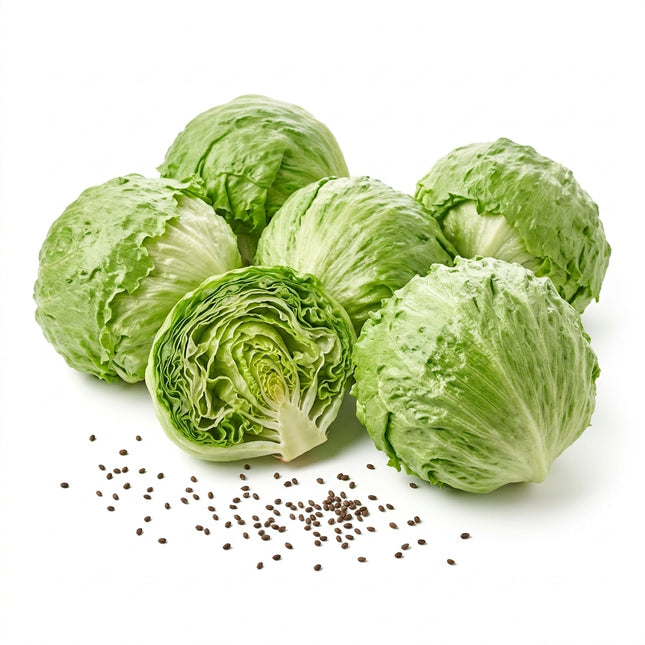 2000 Premium Iceberg Lettuce Seeds for Planting - Sweet, Ultra-Crisp & Large Heading Lettuce for Home Garden - Heirloom Crisphead Seeds