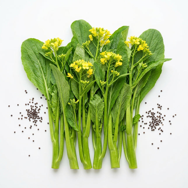1000 Heirloom Choy Sum Seeds (Chinese Flowering Cabbage) - Fast Growing & High Yielding Asian Greens for Home Garden