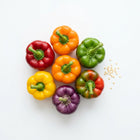 Rainbow Bell Pepper Seeds - 100 Seeds