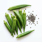 Green Okra Seeds - 45 Seeds