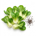 Cream Baby Bok Choy Seeds - 1,000 Seeds