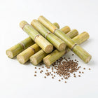Green Sugarcane Seeds - 200 Seeds