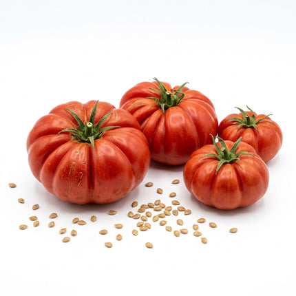 100 Beefsteak Tomato Seeds for Planting - Giant Slicing Tomato Seeds for Home Garden - Grow Massive, Juicy Red Vegetables