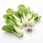 Snow White Cabbage Seeds - 800 Seeds