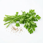 Chinese Celery Seeds - 3,000 Seeds