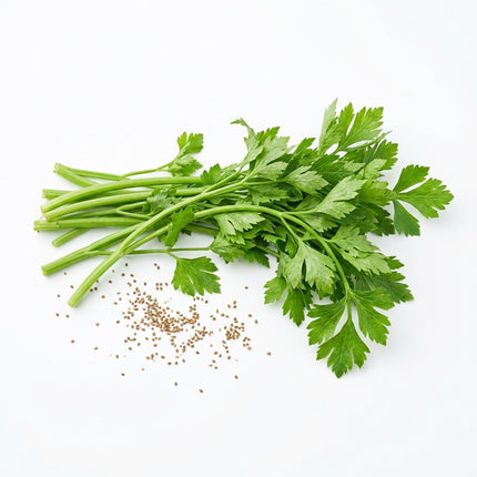 3000 Chinese Celery Seeds for Planting - Sweet, Fragrant & Fast Growing Asian Greens for Home Garden - Heirloom Xio Qin Cai