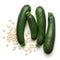 Zucchini Seeds