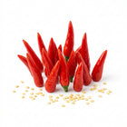 Facing Heaven Pepper Seeds - 500 Seeds