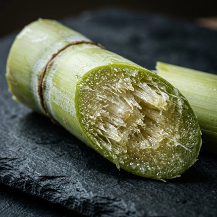 200 Green Sugarcane Seeds for Planting - Sweet, Juicy Rock Sugar Cane - Tropical High Yield Crop for Garden