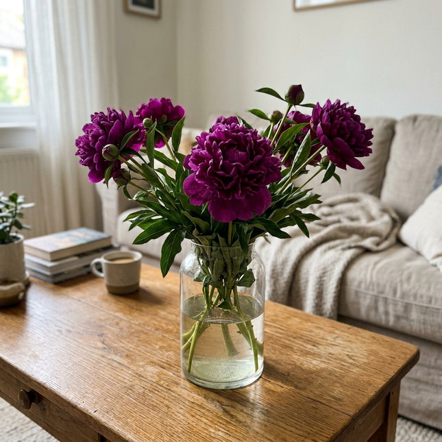 50 Purple Peony Seeds for Planting - Premium Heirloom Purple Peony Seeds for Elegant Home Garden Blooms
