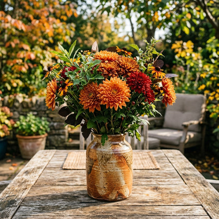 50 Premium Autumn Glory Chrysanthemum Seeds - Beautiful Garden Flowers for Planting