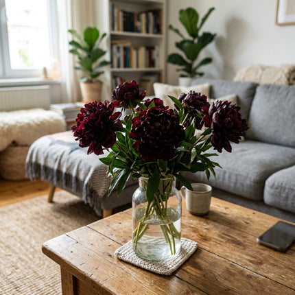 50 Black Peony Seeds for Planting - Premium Heirloom Black Peony Seeds for Elegant Home Garden Blooms