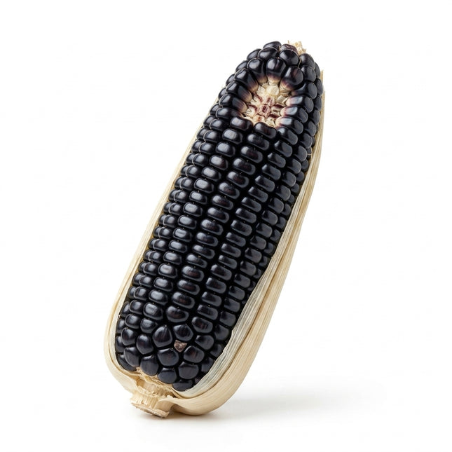 50 Black Corn Seeds for Planting - Premium Variety for Home Gardening