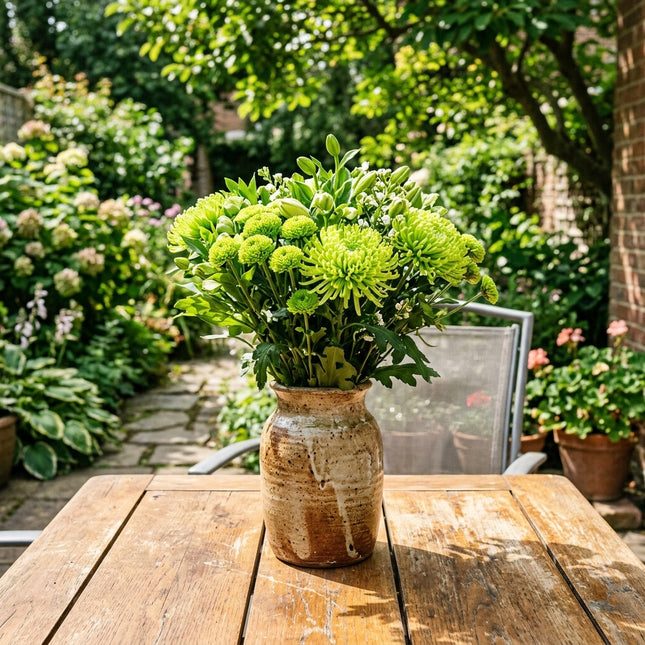 50 Premium Green Chrysanthemum Seeds - Beautiful Garden Flowers for Planting