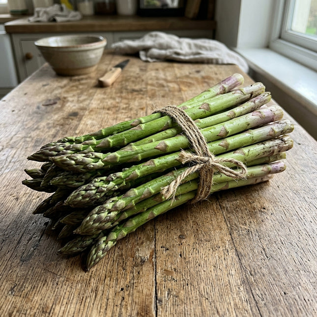 Jersey Giant Asparagus Seeds - 110 Seeds