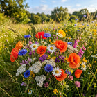 Annual Fast-Blooming Wildflower Mix - 300 Seeds