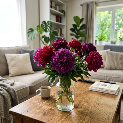 50 Royal Purple Red Mixed Peony Seeds for Planting - Premium Heirloom Royal Purple Red Mixed Peony Seeds for Elegant Home Garden Blooms