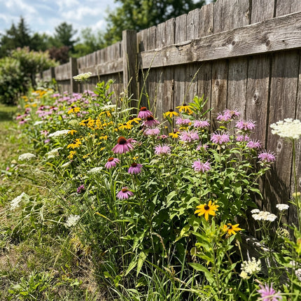 300 North American Wildflower Mix Seeds - Premium Bulk Seed Blend for Easy Outdoor Garden Landscapes