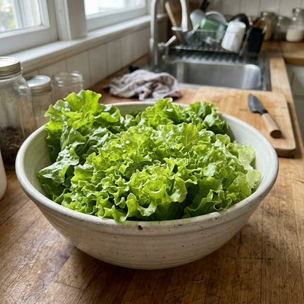 2000 Black Seeded Simpson Lettuce Seeds - Heirloom Loose Leaf Vegetable Seeds