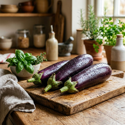 350 Long Purple Eggplant Seeds - HEIRLOOM QUALITY - Bountiful Summer Harvest for Home Gardens