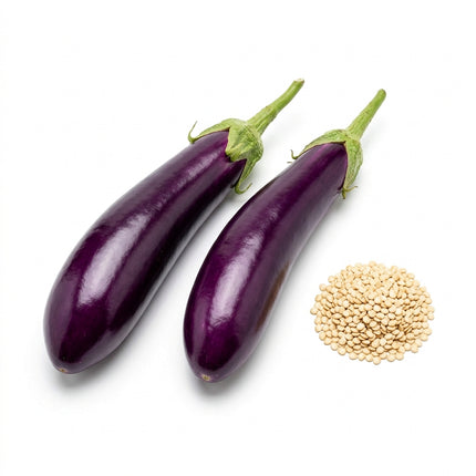 350 Long Purple Eggplant Seeds - HEIRLOOM QUALITY - Bountiful Summer Harvest for Home Gardens