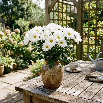 50 Premium Snow White Chrysanthemum Seeds - Beautiful Garden Flowers for Planting