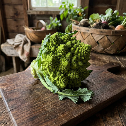 320 Romanesco Broccoli Seeds - Stunning Lime Green Fractal Heads - Nutty Heirloom Vegetable