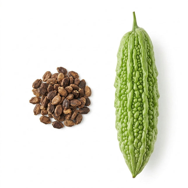 15 Green Bitter Melon Seeds - Heirloom Balsam Pear Seeds for Planting - Fast-Growing Asian Vegetable Vines for Gardeners