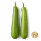 Bottle Gourd Seeds - 35 Seeds