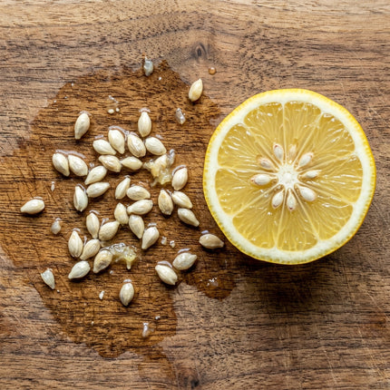 30 Lemon Seeds for Planting - Variety for Home Gardening