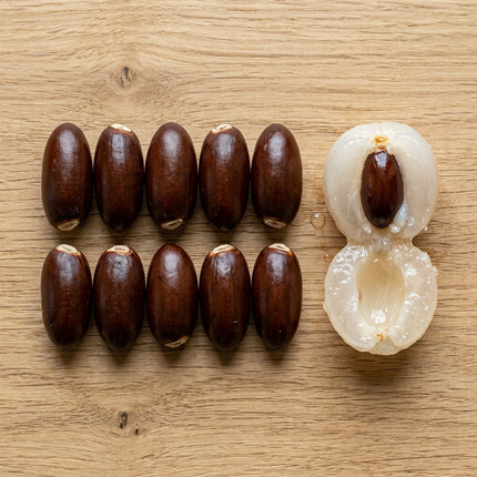10 Lychee Seeds for Planting - Variety for Home Gardening