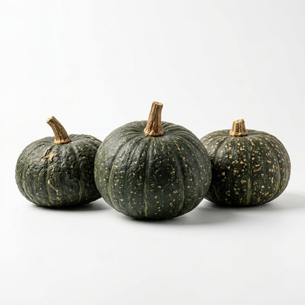 15 Japanese Kabocha Squash Seeds - Sweet Green Pumpkin Seeds for Planting - Enjoy Rich, Chestnut-Flavored Winter Squash from Your Garden