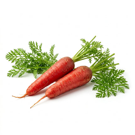 300 Red Fruit Carrot Seeds - Rare Sweet Heirloom Vegetable Seeds for Home Gardens - Vibrant, Juicy Carrots for Snacking and Salads