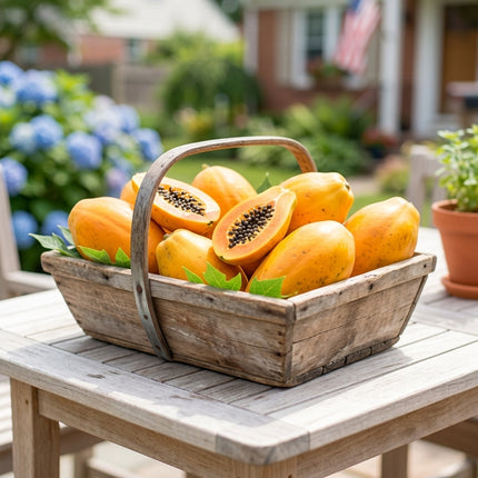 20 Papaya Seeds for Planting - Variety for Home Gardening