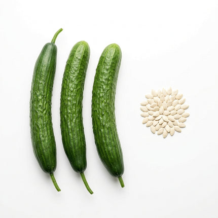 60 Asian Suyo Long Cucumber Seeds - Heirloom Crisp and Burpless for Summer Salads